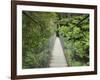 Suspension Bridge and Rainforest, Tarra Bulga National Park, Victoria, Australia, Pacific-Schlenker Jochen-Framed Photographic Print