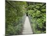 Suspension Bridge and Rainforest, Tarra Bulga National Park, Victoria, Australia, Pacific-Schlenker Jochen-Mounted Photographic Print