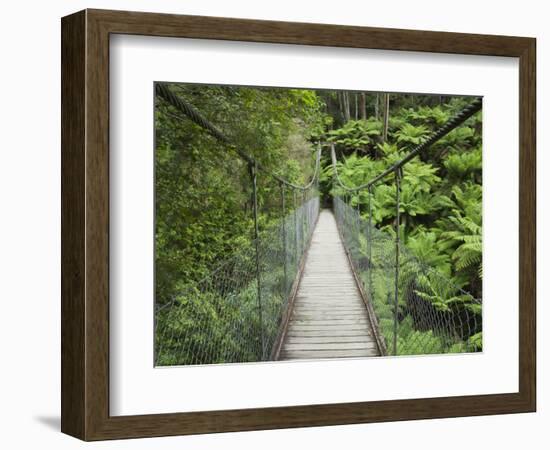 Suspension Bridge and Rainforest, Tarra Bulga National Park, Victoria, Australia, Pacific-Schlenker Jochen-Framed Photographic Print