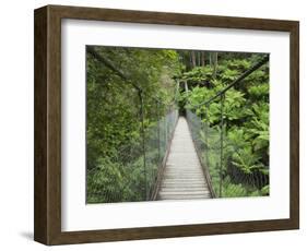 Suspension Bridge and Rainforest, Tarra Bulga National Park, Victoria, Australia, Pacific-Schlenker Jochen-Framed Photographic Print