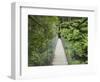 Suspension Bridge and Rainforest, Tarra Bulga National Park, Victoria, Australia, Pacific-Schlenker Jochen-Framed Photographic Print