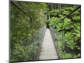 Suspension Bridge and Rainforest, Tarra Bulga National Park, Victoria, Australia, Pacific-Schlenker Jochen-Mounted Photographic Print