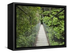 Suspension Bridge and Rainforest, Tarra Bulga National Park, Victoria, Australia, Pacific-Schlenker Jochen-Framed Stretched Canvas