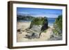 Suspension Bridge at Towan Beach, Newquay, Cornwall, England, United Kingdom, Europe-Rob Cousins-Framed Photographic Print