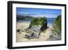 Suspension Bridge at Towan Beach, Newquay, Cornwall, England, United Kingdom, Europe-Rob Cousins-Framed Photographic Print