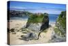 Suspension Bridge at Towan Beach, Newquay, Cornwall, England, United Kingdom, Europe-Rob Cousins-Stretched Canvas