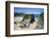 Suspension Bridge at Towan Beach, Newquay, Cornwall, England, United Kingdom, Europe-Rob Cousins-Framed Photographic Print