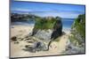 Suspension Bridge at Towan Beach, Newquay, Cornwall, England, United Kingdom, Europe-Rob Cousins-Mounted Photographic Print