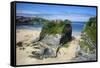 Suspension Bridge at Towan Beach, Newquay, Cornwall, England, United Kingdom, Europe-Rob Cousins-Framed Stretched Canvas