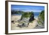 Suspension Bridge at Towan Beach, Newquay, Cornwall, England, United Kingdom, Europe-Rob Cousins-Framed Photographic Print