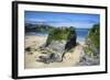 Suspension Bridge at Towan Beach, Newquay, Cornwall, England, United Kingdom, Europe-Rob Cousins-Framed Photographic Print