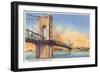 Suspension Bridge, Cincinnati, Ohio-null-Framed Art Print