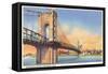 Suspension Bridge, Cincinnati, Ohio-null-Framed Stretched Canvas