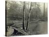 Suspension Bridge, Lake Crescent Road, 1918-Asahel Curtis-Stretched Canvas