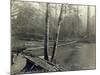 Suspension Bridge, Lake Crescent Road, 1918-Asahel Curtis-Mounted Giclee Print