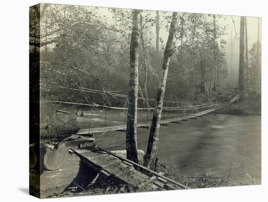 Suspension Bridge, Lake Crescent Road, 1918-Asahel Curtis-Stretched Canvas