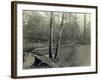 Suspension Bridge, Lake Crescent Road, 1918-Asahel Curtis-Framed Giclee Print