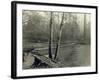 Suspension Bridge, Lake Crescent Road, 1918-Asahel Curtis-Framed Giclee Print
