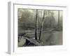 Suspension Bridge, Lake Crescent Road, 1918-Asahel Curtis-Framed Giclee Print