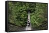 Suspension bridge, Lynn Canyon Park, Vancouver, British Columbia, Canada, North America-Richard Cummins-Framed Stretched Canvas