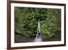 Suspension bridge, Lynn Canyon Park, Vancouver, British Columbia, Canada, North America-Richard Cummins-Framed Photographic Print