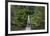 Suspension bridge, Lynn Canyon Park, Vancouver, British Columbia, Canada, North America-Richard Cummins-Framed Photographic Print