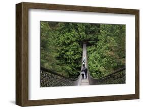 Suspension bridge, Lynn Canyon Park, Vancouver, British Columbia, Canada, North America-Richard Cummins-Framed Photographic Print