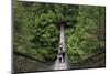 Suspension bridge, Lynn Canyon Park, Vancouver, British Columbia, Canada, North America-Richard Cummins-Mounted Photographic Print