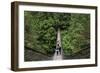 Suspension bridge, Lynn Canyon Park, Vancouver, British Columbia, Canada, North America-Richard Cummins-Framed Photographic Print