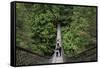 Suspension bridge, Lynn Canyon Park, Vancouver, British Columbia, Canada, North America-Richard Cummins-Framed Stretched Canvas