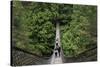 Suspension bridge, Lynn Canyon Park, Vancouver, British Columbia, Canada, North America-Richard Cummins-Stretched Canvas