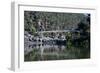 Suspension Bridge over the Cataract Gorge, Launceston, Tasmania, Australia, Pacific-Michael Runkel-Framed Photographic Print