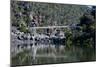 Suspension Bridge over the Cataract Gorge, Launceston, Tasmania, Australia, Pacific-Michael Runkel-Mounted Photographic Print