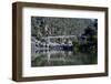 Suspension Bridge over the Cataract Gorge, Launceston, Tasmania, Australia, Pacific-Michael Runkel-Framed Photographic Print