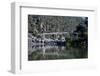 Suspension Bridge over the Cataract Gorge, Launceston, Tasmania, Australia, Pacific-Michael Runkel-Framed Photographic Print