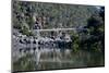 Suspension Bridge over the Cataract Gorge, Launceston, Tasmania, Australia, Pacific-Michael Runkel-Mounted Photographic Print