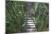 Suspension Bridge, Pacaya-Samiria Reserve, Amazon Rainforest. Peru-Mallorie Ostrowitz-Mounted Photographic Print