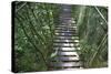 Suspension Bridge, Pacaya-Samiria Reserve, Amazon Rainforest. Peru-Mallorie Ostrowitz-Stretched Canvas