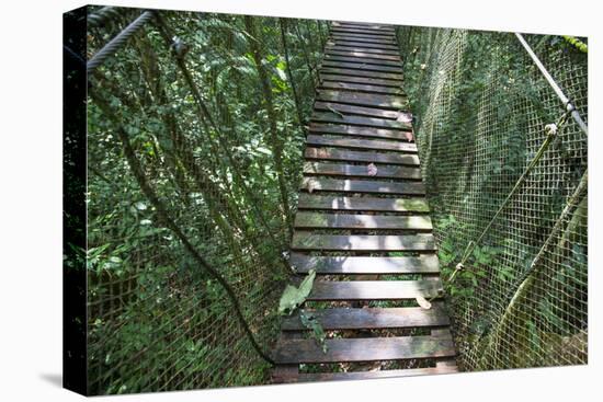 Suspension Bridge, Pacaya-Samiria Reserve, Amazon Rainforest. Peru-Mallorie Ostrowitz-Stretched Canvas