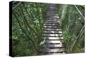 Suspension Bridge, Pacaya-Samiria Reserve, Amazon Rainforest. Peru-Mallorie Ostrowitz-Stretched Canvas