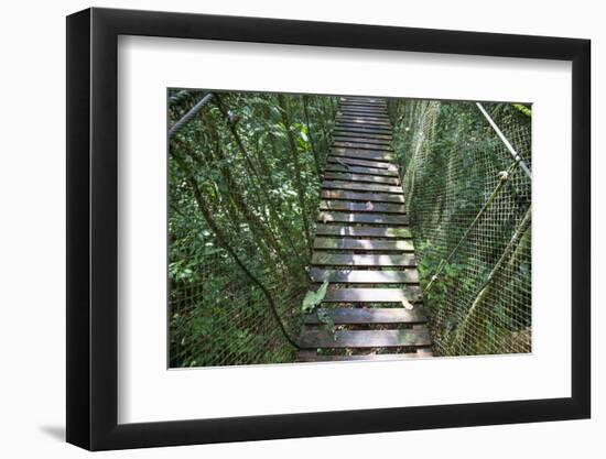 Suspension Bridge, Pacaya-Samiria Reserve, Amazon Rainforest. Peru-Mallorie Ostrowitz-Framed Photographic Print