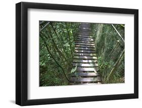 Suspension Bridge, Pacaya-Samiria Reserve, Amazon Rainforest. Peru-Mallorie Ostrowitz-Framed Photographic Print
