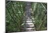 Suspension Bridge, Pacaya-Samiria Reserve, Amazon Rainforest. Peru-Mallorie Ostrowitz-Mounted Photographic Print