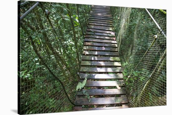 Suspension Bridge, Pacaya-Samiria Reserve, Amazon Rainforest. Peru-Mallorie Ostrowitz-Stretched Canvas