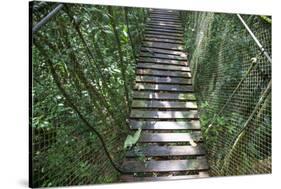 Suspension Bridge, Pacaya-Samiria Reserve, Amazon Rainforest. Peru-Mallorie Ostrowitz-Stretched Canvas