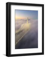 Suspension Fog Bridge, Oakland San Francisco Bay Morning Fog-Vincent James-Framed Photographic Print