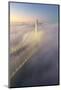 Suspension Fog Bridge, Oakland San Francisco Bay Morning Fog-Vincent James-Mounted Photographic Print