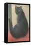 Suspicious Cat-null-Framed Stretched Canvas