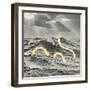 Suspicious Snake-Danielle Kroll-Framed Giclee Print