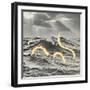 Suspicious Snake-Danielle Kroll-Framed Giclee Print